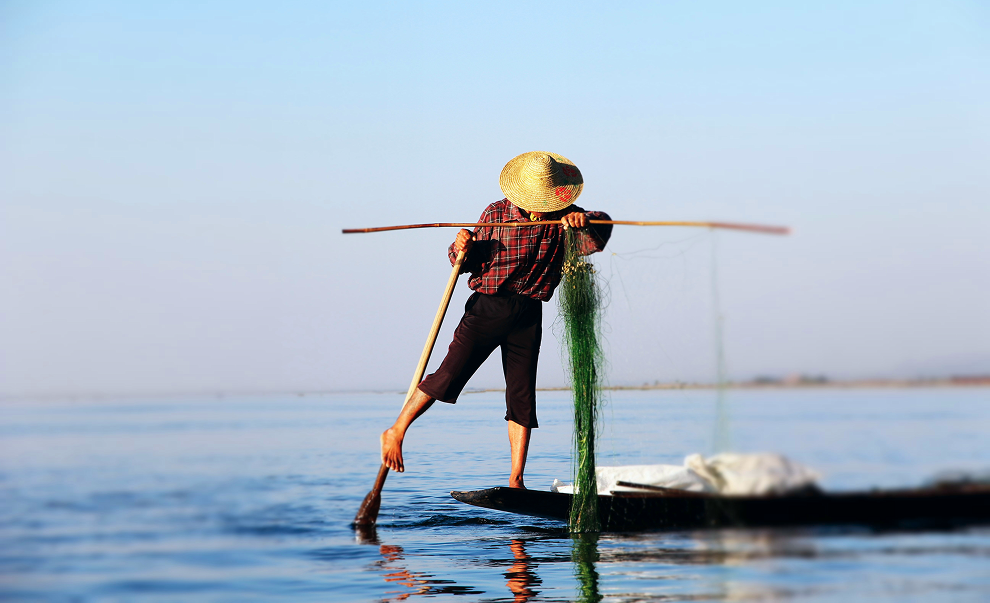 nguồn: unsplash